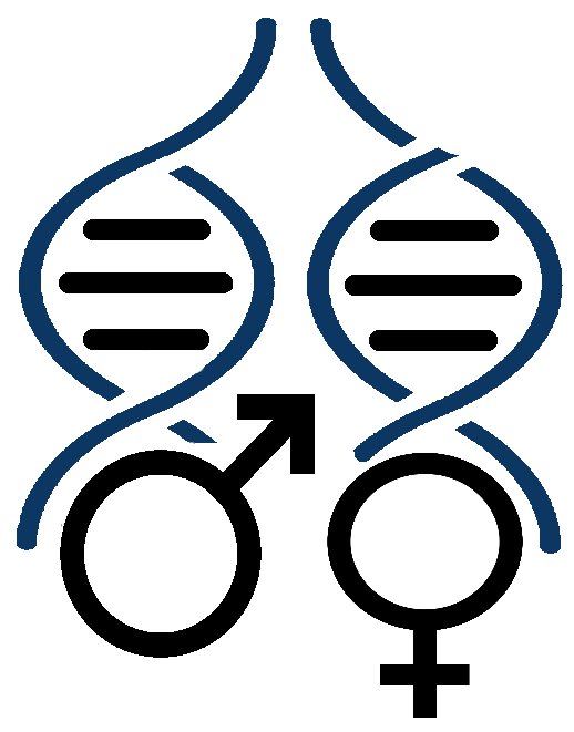 SMARTPOP Installation